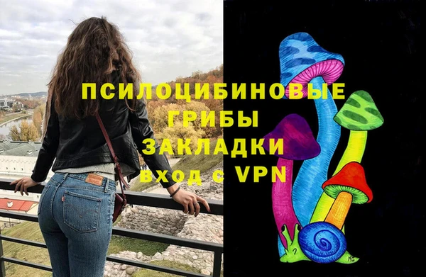 Альфа ПВП Санкт-Петербург