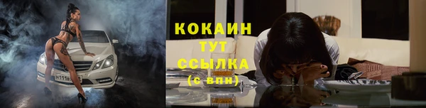 мет Протвино