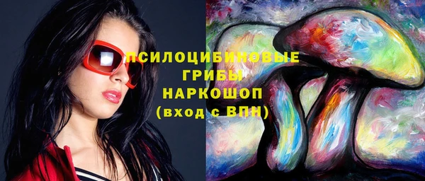 мет Протвино