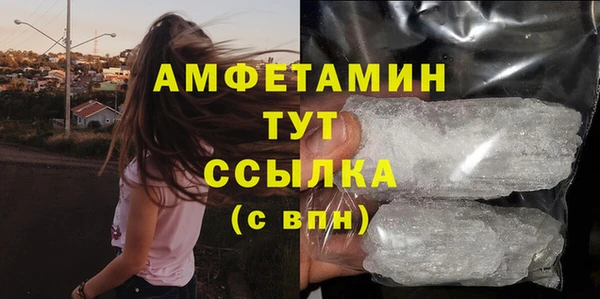 индика Ессентукская