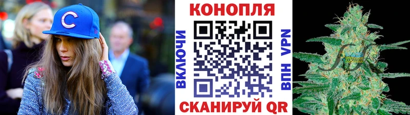 хочу наркоту  Багратионовск  Канабис Bruce Banner 